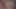 Bigbutt latin trans barebacked sonra veren oral seks