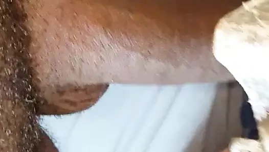 Mmmmm seven benim misters horoz