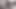 Bu küçük horoz şaka mı olmalı?