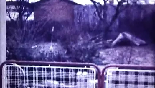 Salesgirl baştan çıkarma sexorama 886