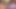 Piggy Rose büyük ayı ve lucipork ile xbiz miami'de yayın yapıyor