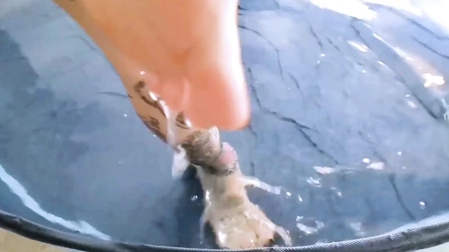 goddesslolli WATER-GLOVES-FEET