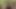 Jessica Brown Findlay, Eloise Smyth, Holli Dempsey -Harlots