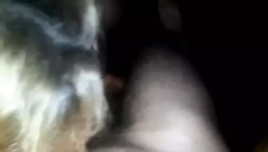 Eş Meme sikme ve emmek bbc