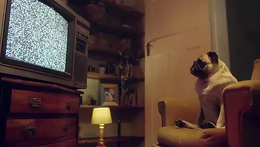 Ateşli lezbiyenler - en sevdikleri oyuncaklarla ve sınırsız vahşi lezbiyen seks - benefit monkey