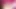 Stepsis latina verir joi önce oynuyor ve parmak kedi