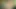 Sarışın kendini parmaklıyor ve sonra cam dildoya biniyor