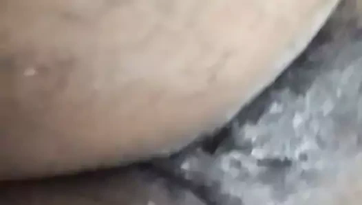 benim gf KEDİ traş