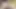 Seksi esmer ıslak amına dildo sokuyor