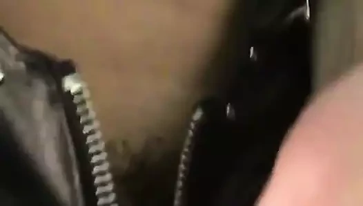 İskoç bebek cassie 6