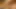 Seksi bilgisayar inek parmakları küçük yarağıyla değiştiriliyor