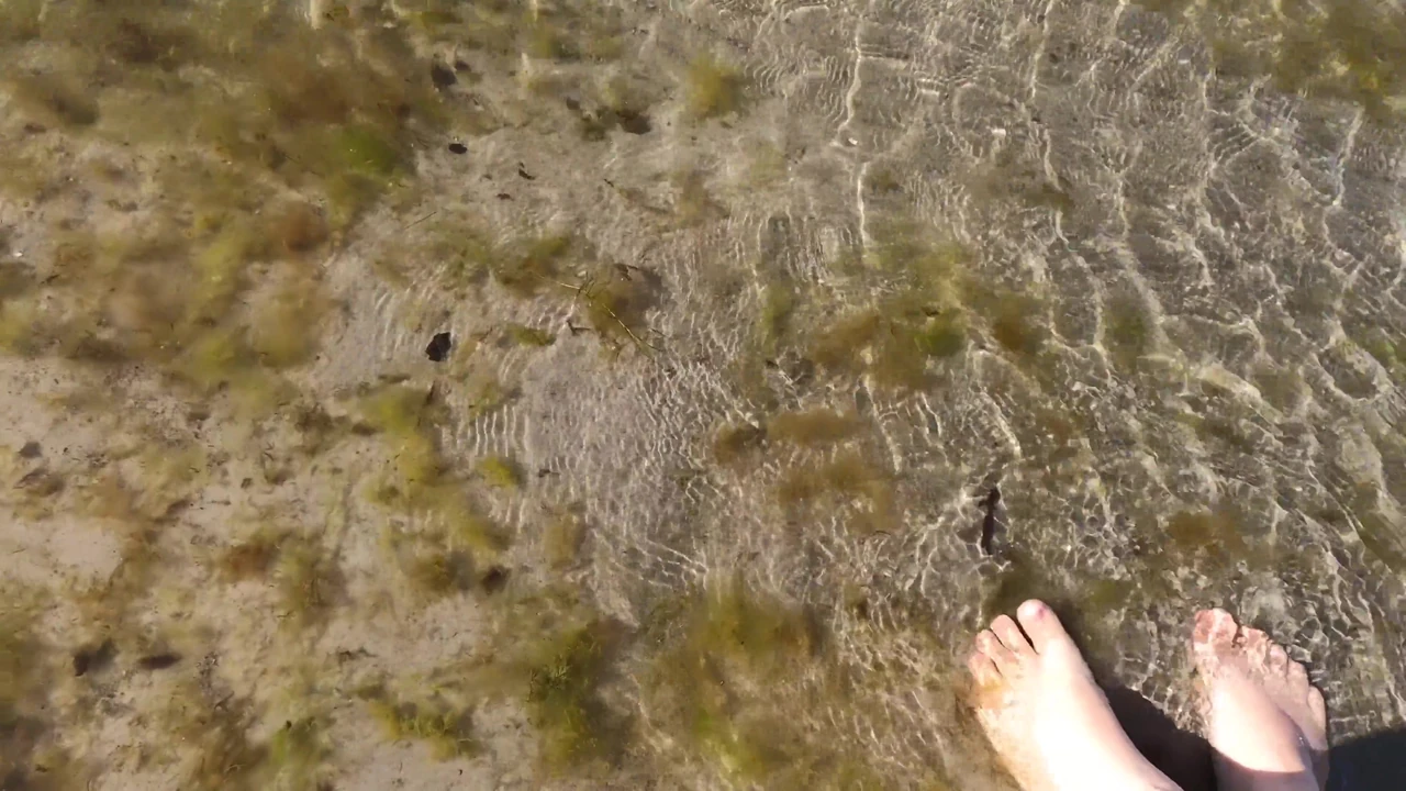 A Day of Beach Fun and Raw Lust for Creampies and Cumshots