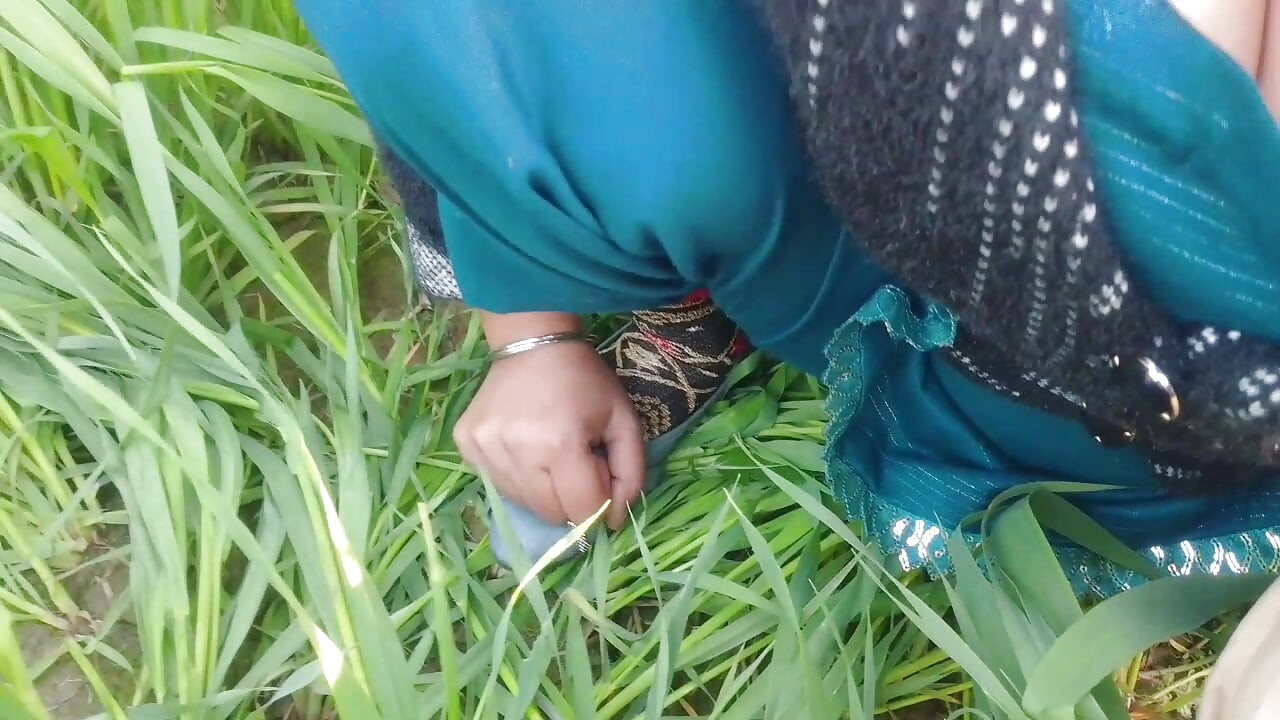 Sosyal deney xxx: rastgele adam açık havada amımı yalıyor