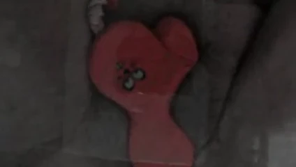 Filmato 3