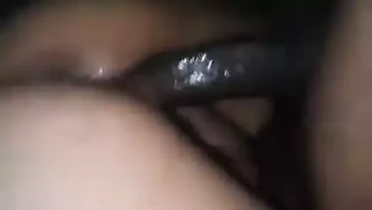 Porto rican kremsi kedi binicilik bbc