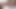 VIP4k. güçlü büyük horoz gelen nazik beyaz kedi uyarır