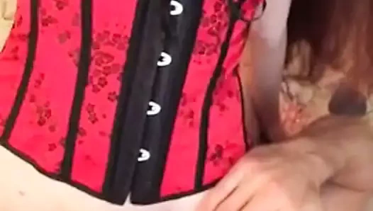 Olgun çift kedi yalamak