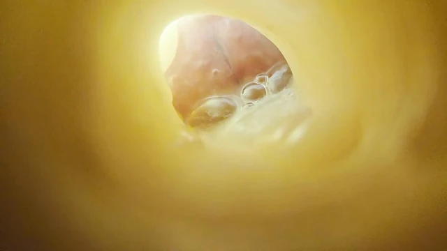 Fleshlight boşalma kamerası (bakış açısı, yetiştiriliyorsunuz)