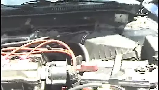 Afrika büyük musluklar - cilt. #07