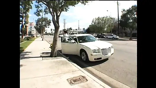 Divine Princess hepsini alıyor