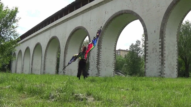 Gökkuşağı kelebek