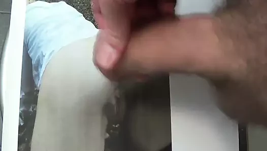 Lisasucht'a haraç