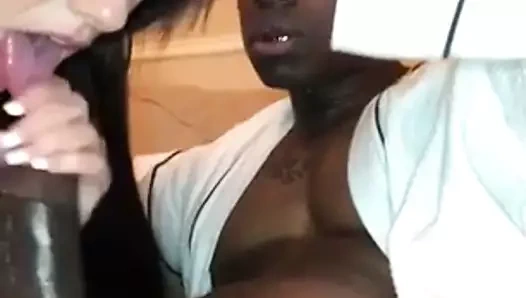 hotwife için siyah horoz 12 inç