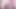 Pembe panter beni emiyor ve yüzümde oturuyor