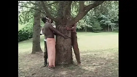 Sarışın Orta Yaşlı Seksi Kadın Büyük Bir Yarağa Binmekten Zevk Aldı Ve Mutlu Oldu