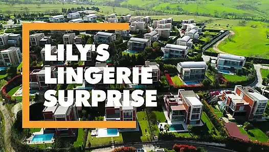 Seksi orta yaşlı seksi evli kadın Lily Love bakış açısıyla sikişiyor ve yüzüne boşalıyor - itspov