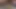 Seksi milf tuvalet kölesinin ağzına işiyor. altın yağmur.