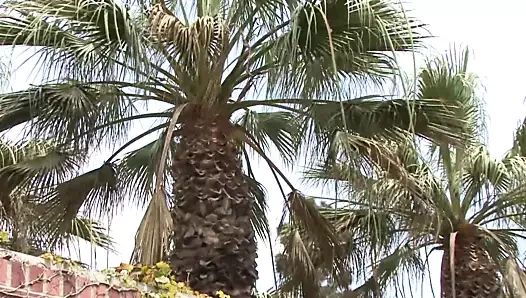 Kışkırtıcı sürtükler sadece sevişmek istiyor! (tam film - hd versiyonu)