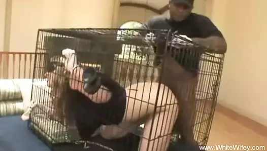 Büyük göt ev hanımı sikikleri bbc damızlık