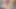 Desi Horny bindu bhabhi  Fucking with desi boy