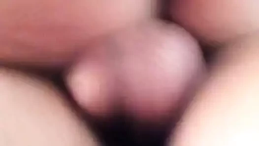 köpek kahrolası tekrar