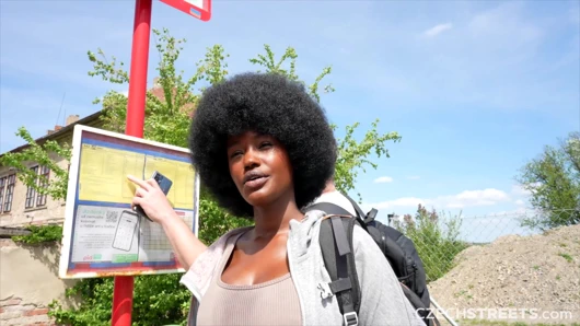 Çek sokakları 152: sevimli büyük memeli zenci kızla şenlik