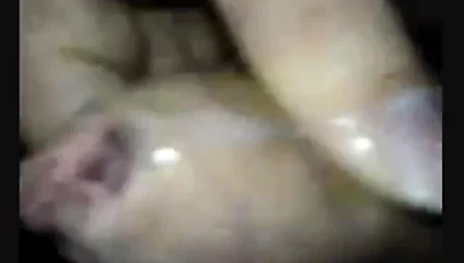 küçük bir koleksiyon