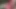 Alman porno seksi cora sert privat anal sikme ile yüz