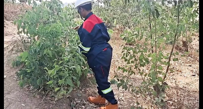 Evde yalnızdı ve sonunda amına mastürbasyon yapıyor