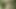 Açık havada eğlence 2 usta köleyi ağaca bağlııyor ve kölelerin sarkık göğüslerine ve şişman karnına şaplak atıyor ve böceklerin ısırmasına izin veriyor