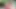 Twistys - Vina Sky karpuzunu yalıyor ve ıslanıyor ve yapış yapış oluyor