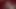 Şaşırtıcı genç, fotoğraf çekimi klipte kedi yalamak alır