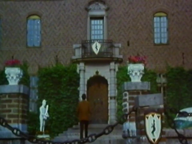 Bel ami - 1975 (istenen)