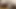 Ateşli solo kız Maya Stone ve Regina Moonshine seks oyuncaklarıyla oynuyor, 4k.