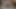 Sarışın beş delikanlının yarağıyla ağzını dolduruyor ve sonra yüzü dölle kaplanıyor