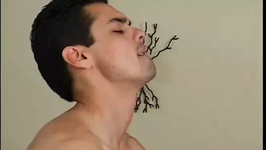 Seksi bebek ile bir biseksüel züppe seven o olarak onlar emmek bir büyük sert çük ve sikme