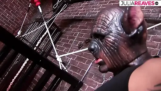 Kafeste mahsur kaldı ve götten sikildi. Büyük memeli sarışın yarak emiyor ve götten sert sikiliyor