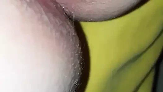 Karım kedi ve eşek.