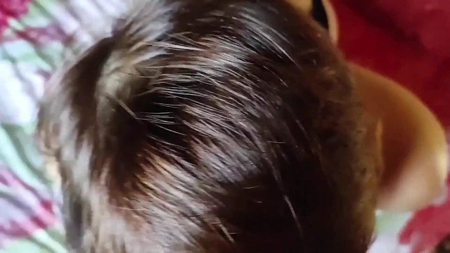 Bir arkadaş marinayı ziyarete geldi