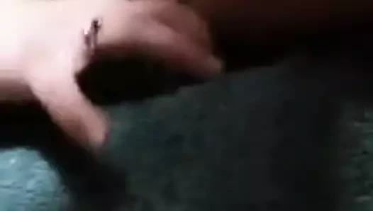 Şişe içinde kedi 2